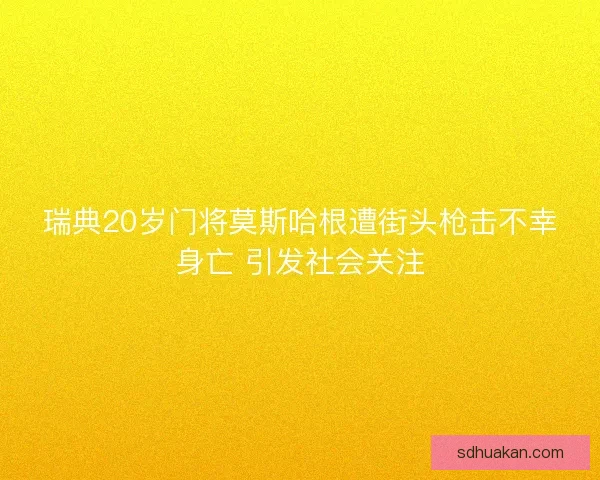 瑞典20岁门将莫斯哈根遭街头枪击不幸身亡 引发社会关注
